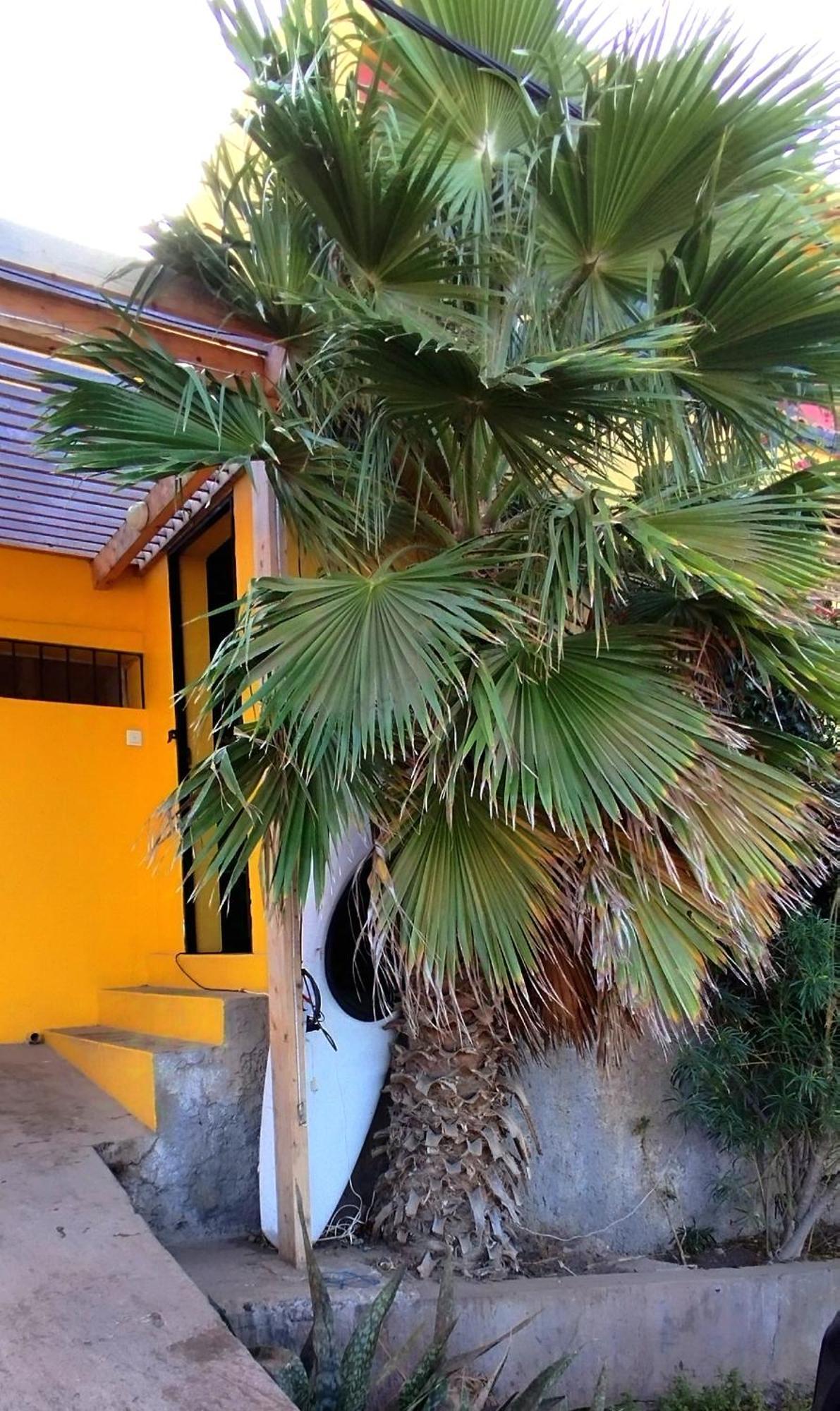 Rose'S Place Mindelo Exterior photo